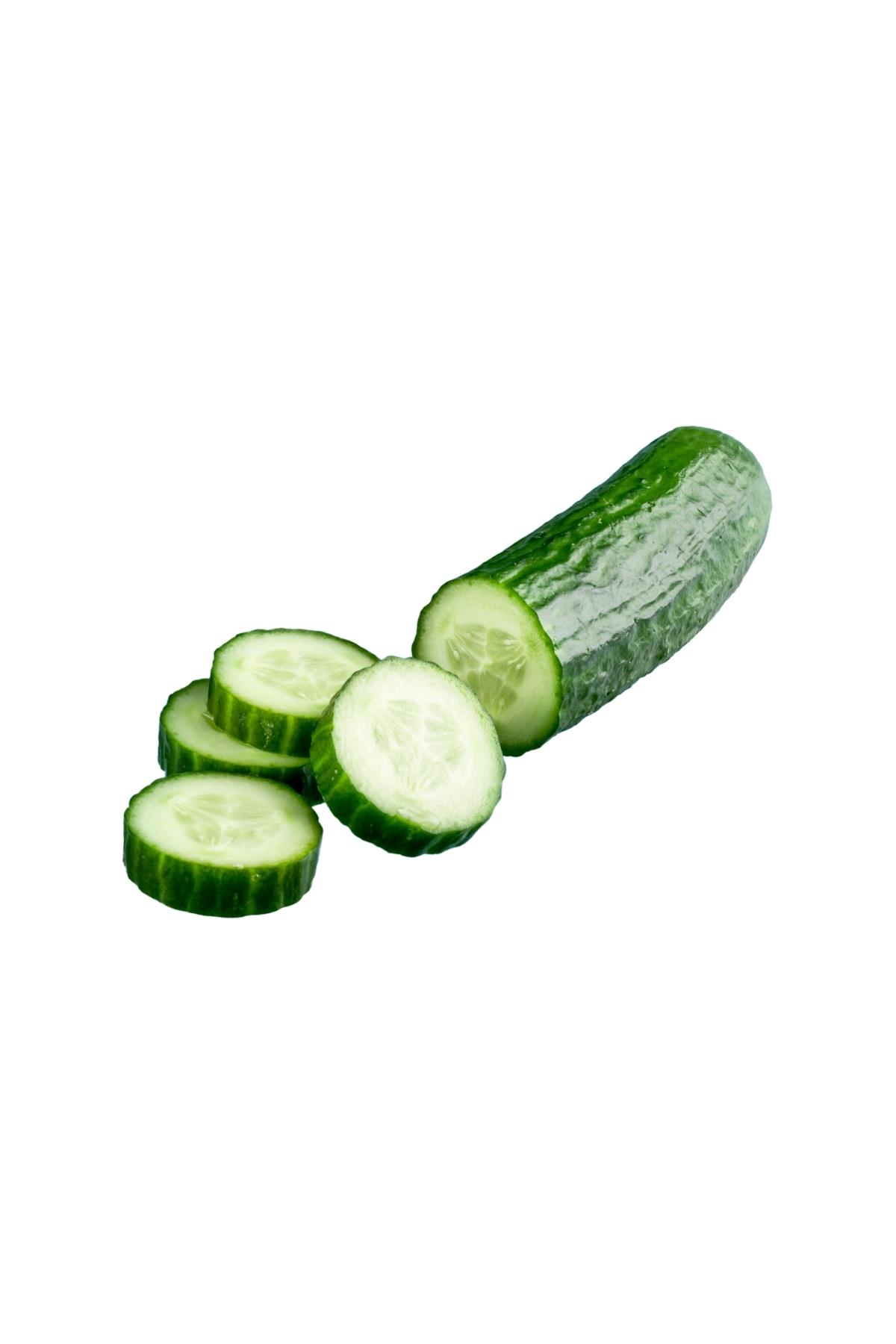 Salatalık KG