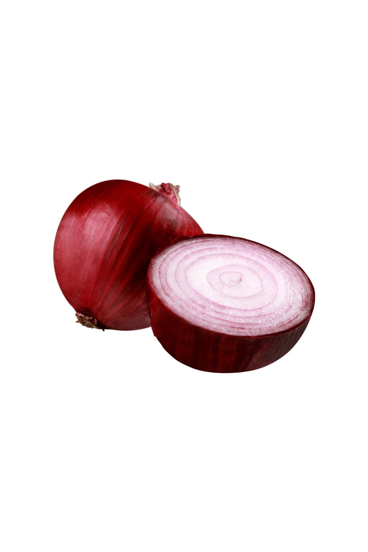 Soğan Mor KG