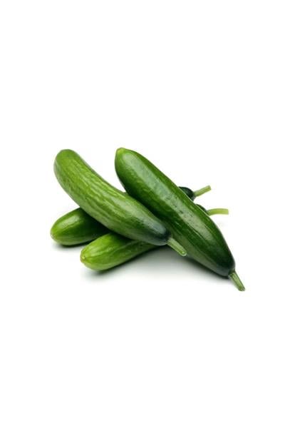 Salatalık Silor KG