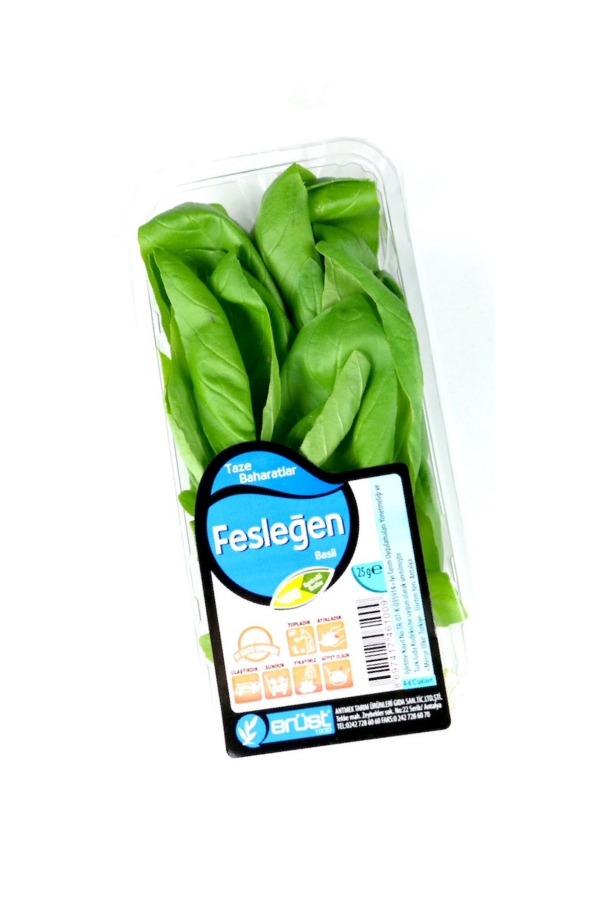  Erüst Fesleğen Taze 25 G Paket