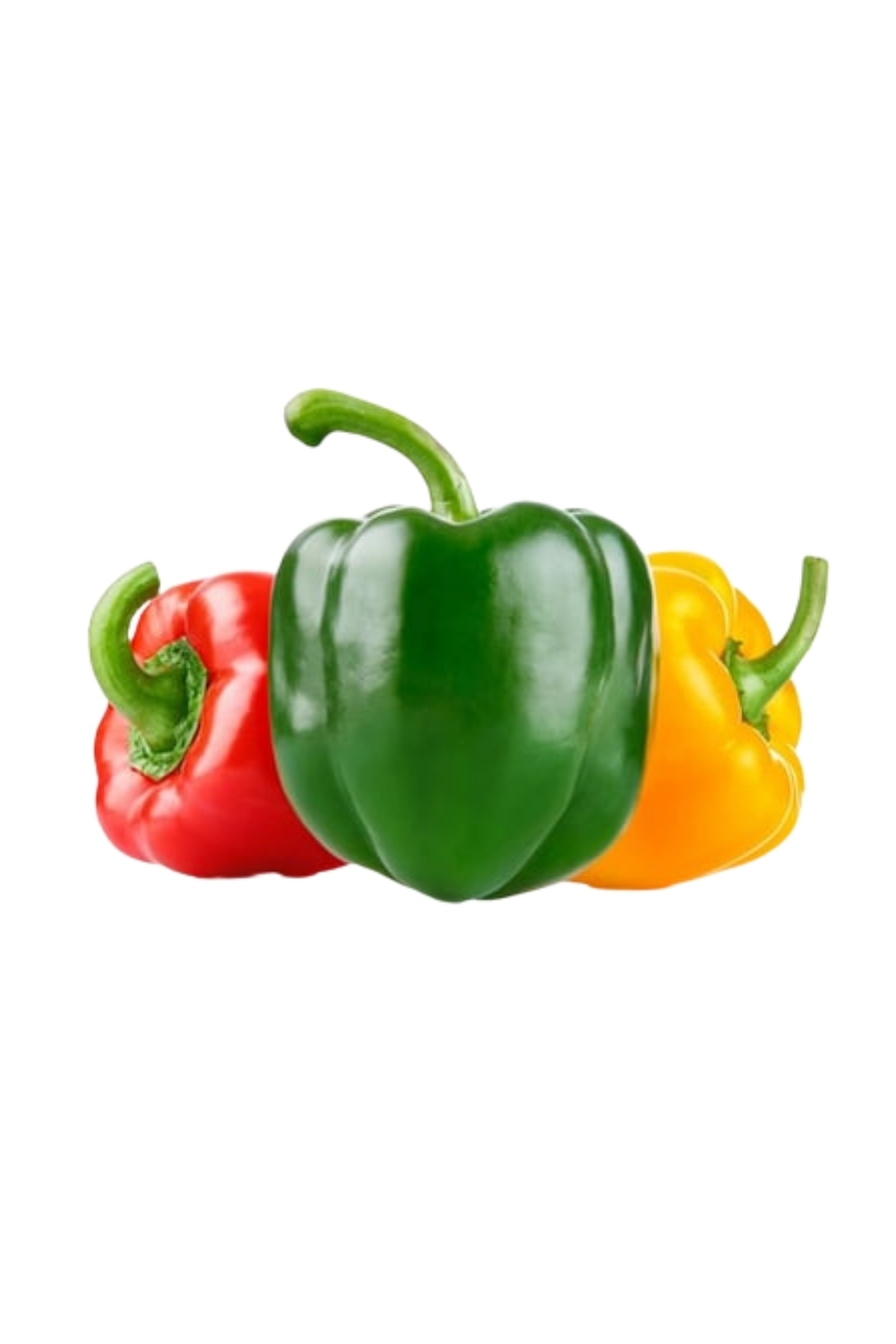 Biber California Karma KG