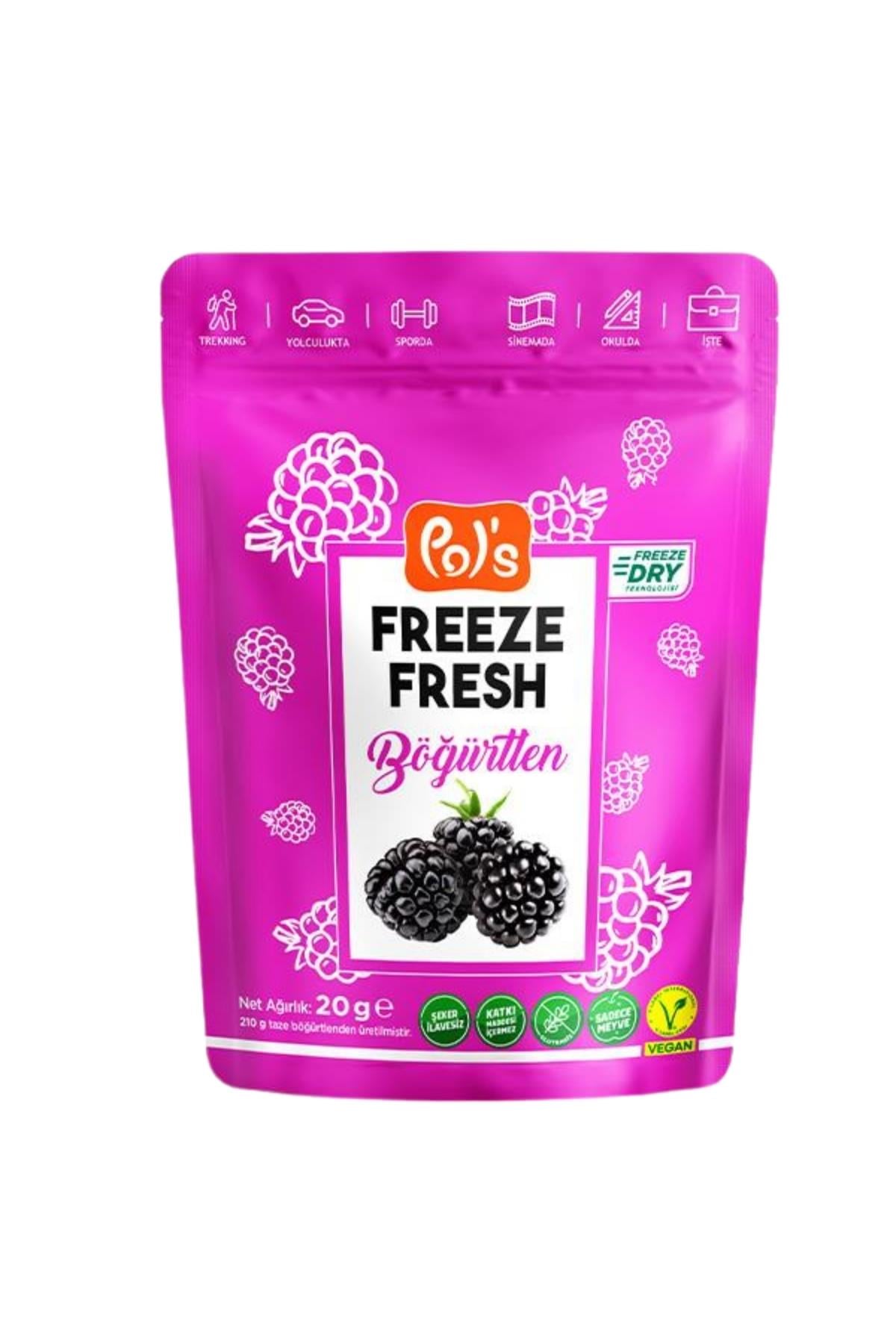 Böğürtlen Kurusu Paket 20 GR