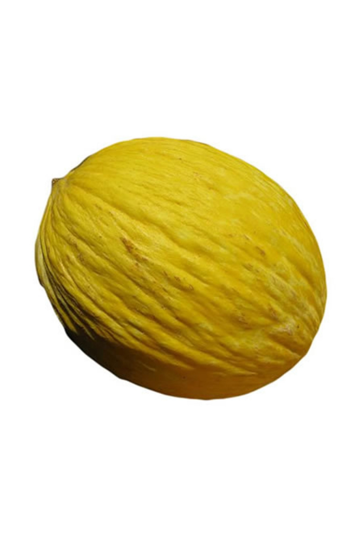 Kavun Kış (2 - 4 KG)