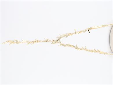 Lumaria Gold V Kolye(70cm)