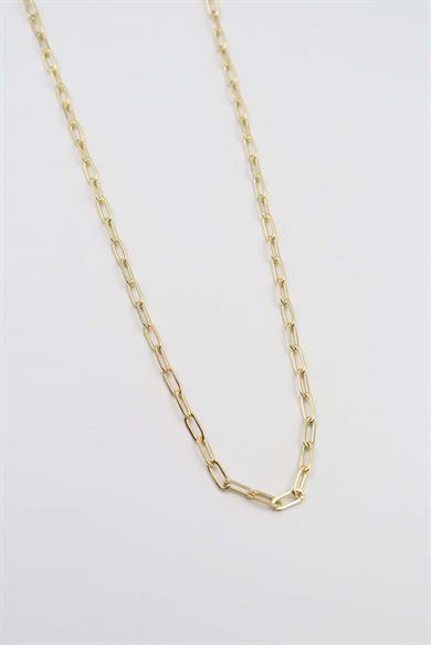 Cambridge Gold Kolye(14K) 