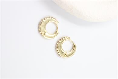 Roberta Gold Küpe (14k)