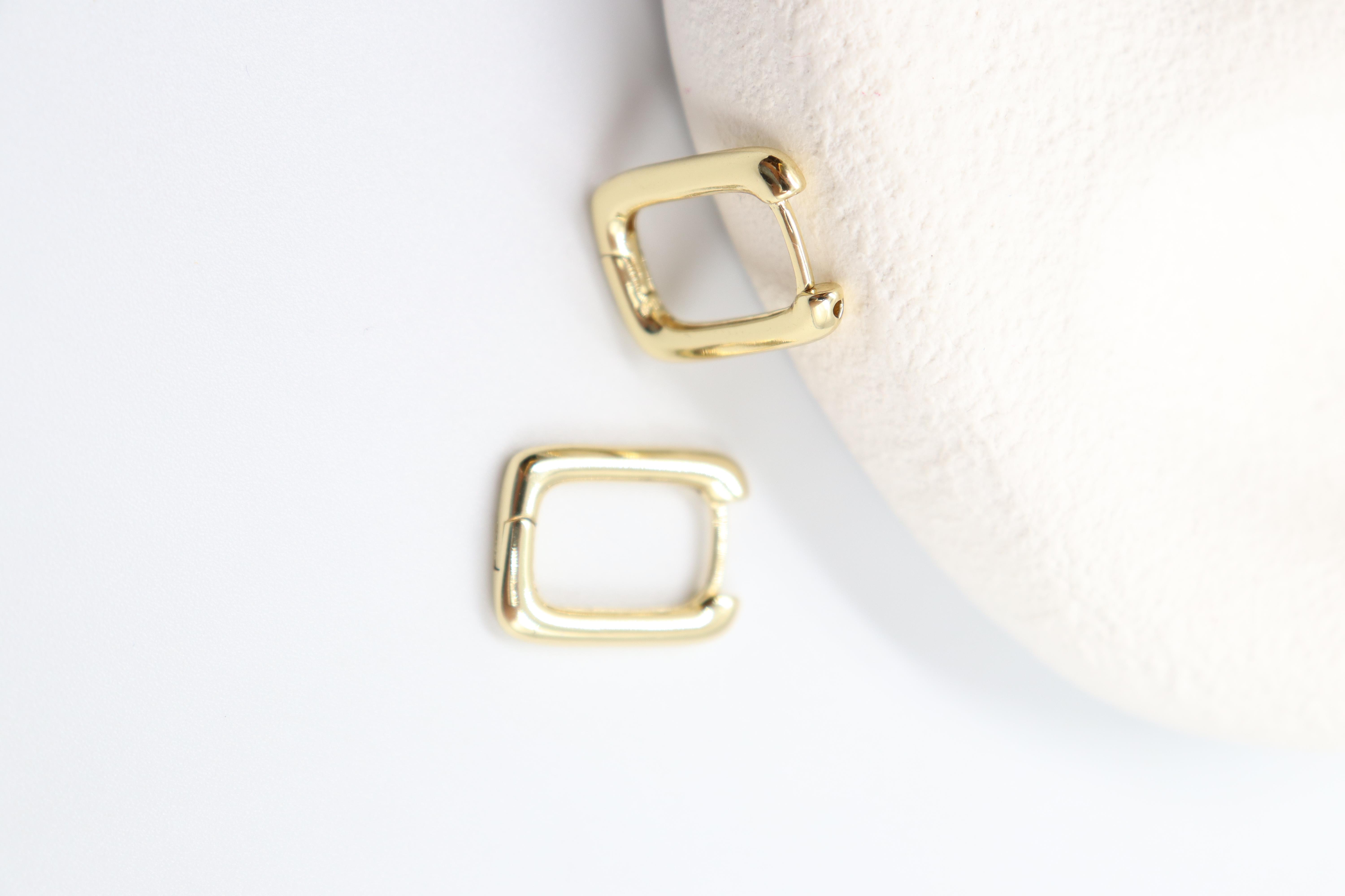 Assunta Gold Küpe (14k)