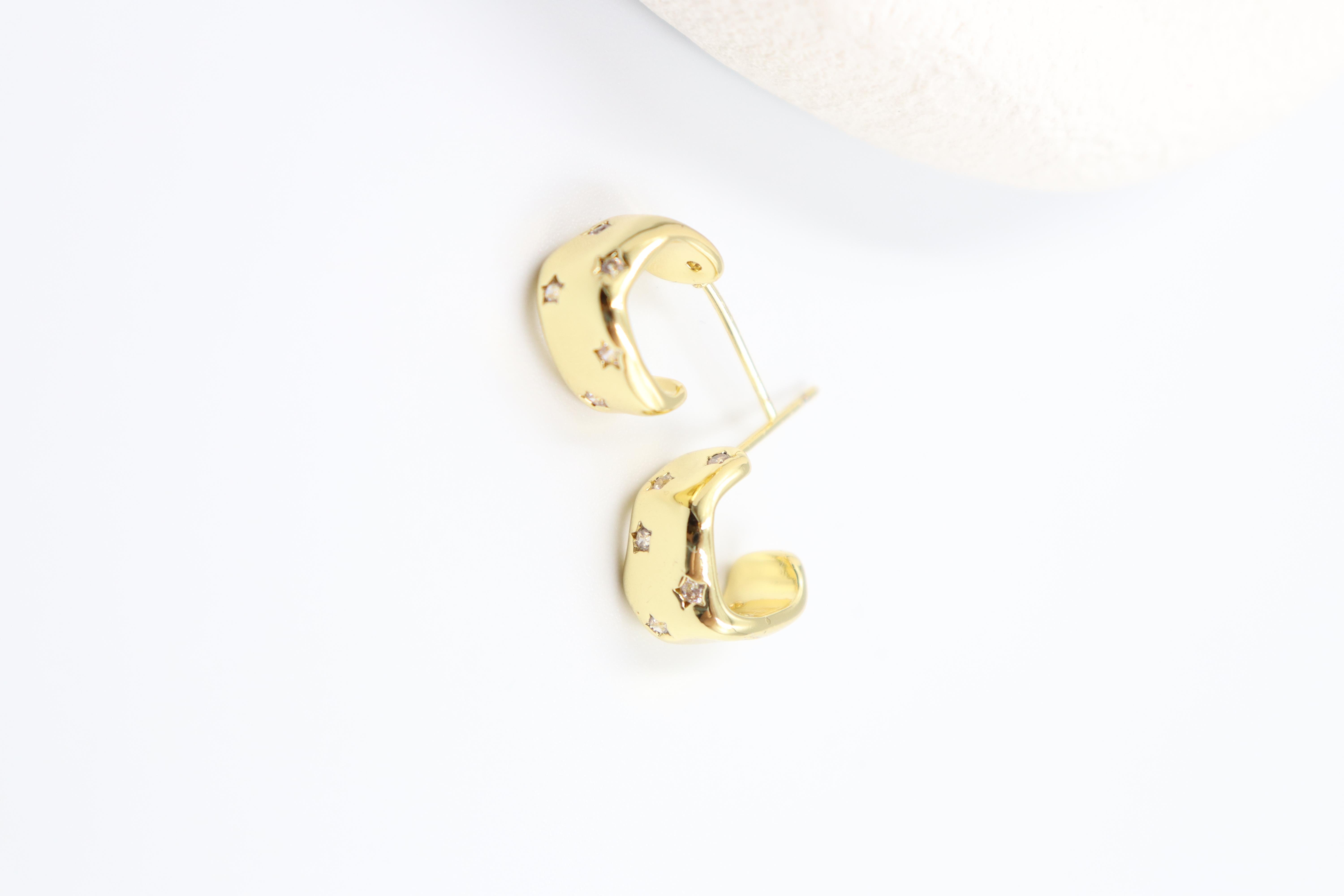 Camilla Gold Küpe (14k)