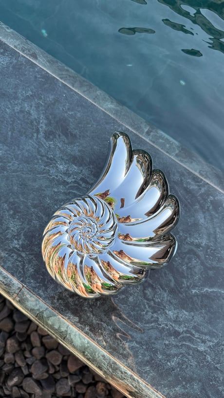 Deniz Kabuğu Silver Çanta