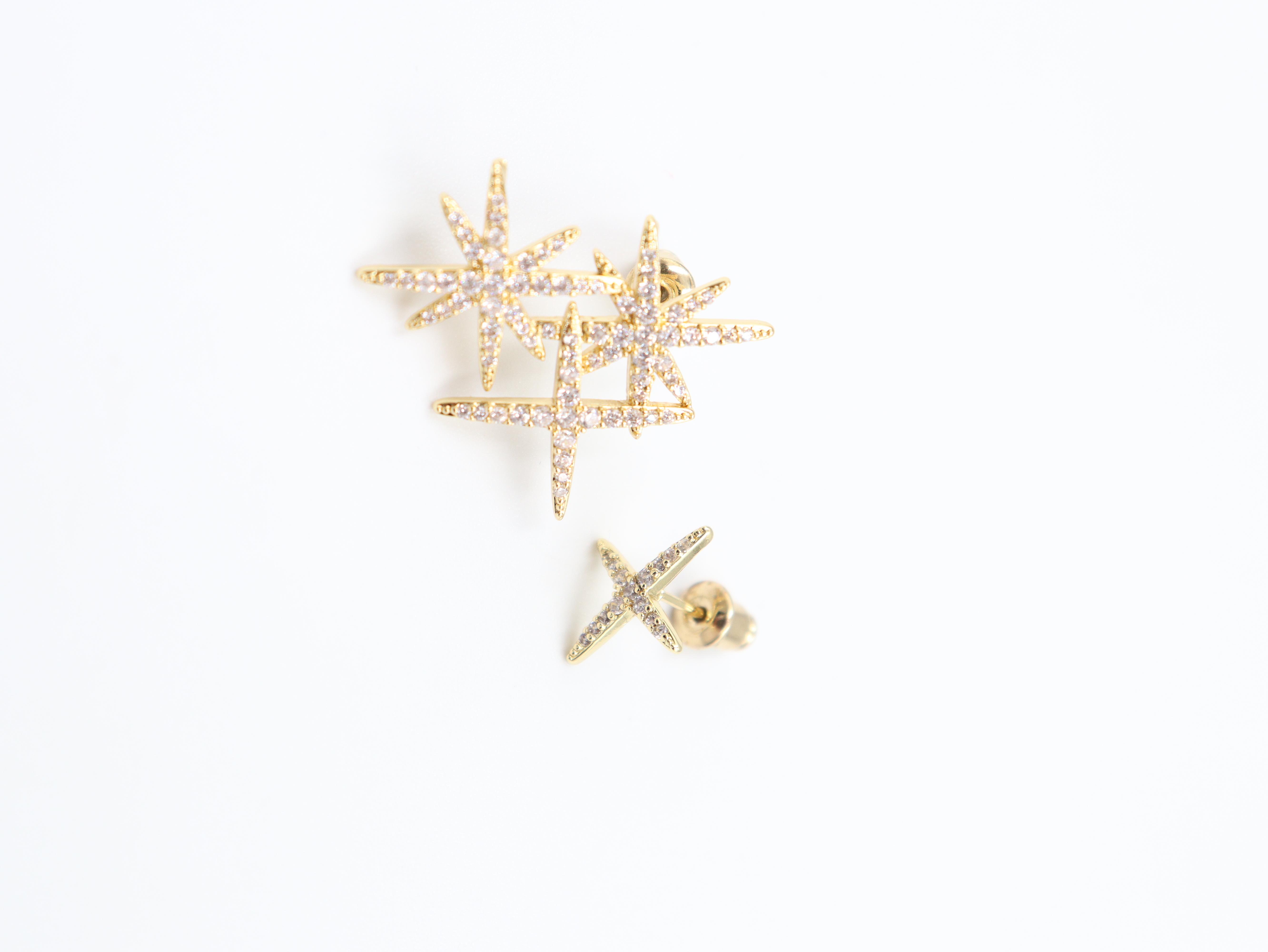 Fernanda VIP Gold Küpe (14k)