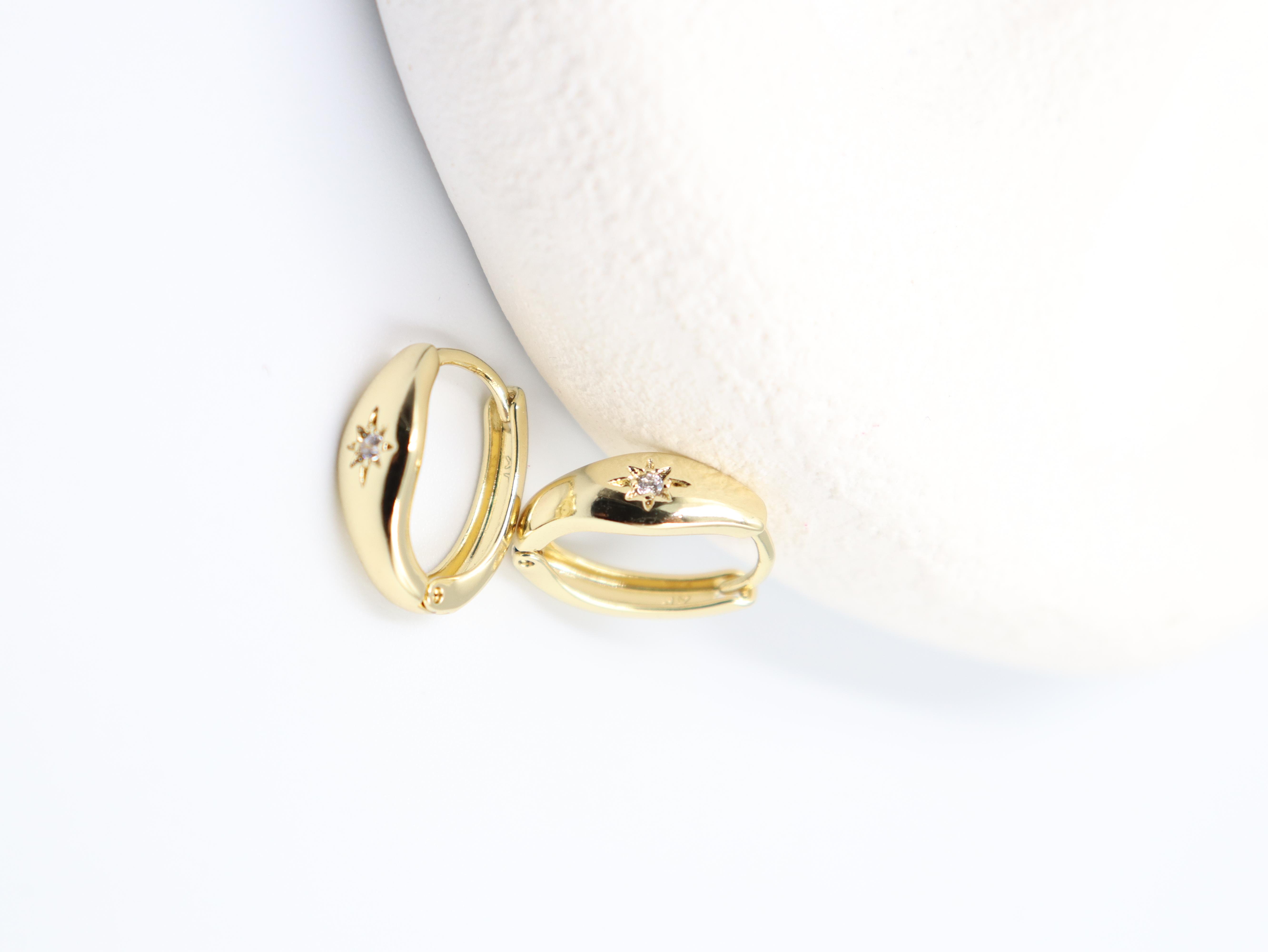 Florissa VIP Gold Küpe (14k)