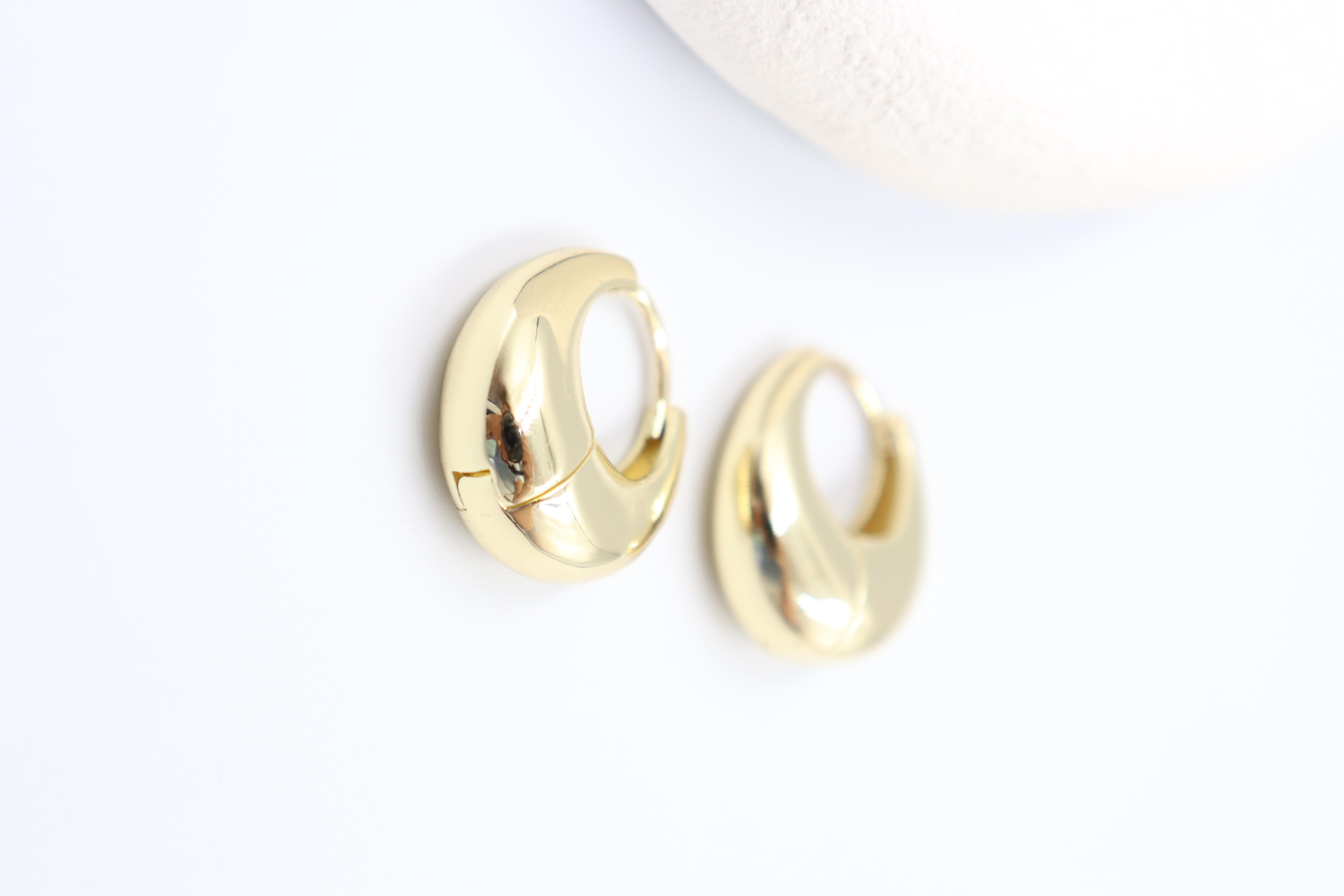 Lerici Gold Küpe (14k)