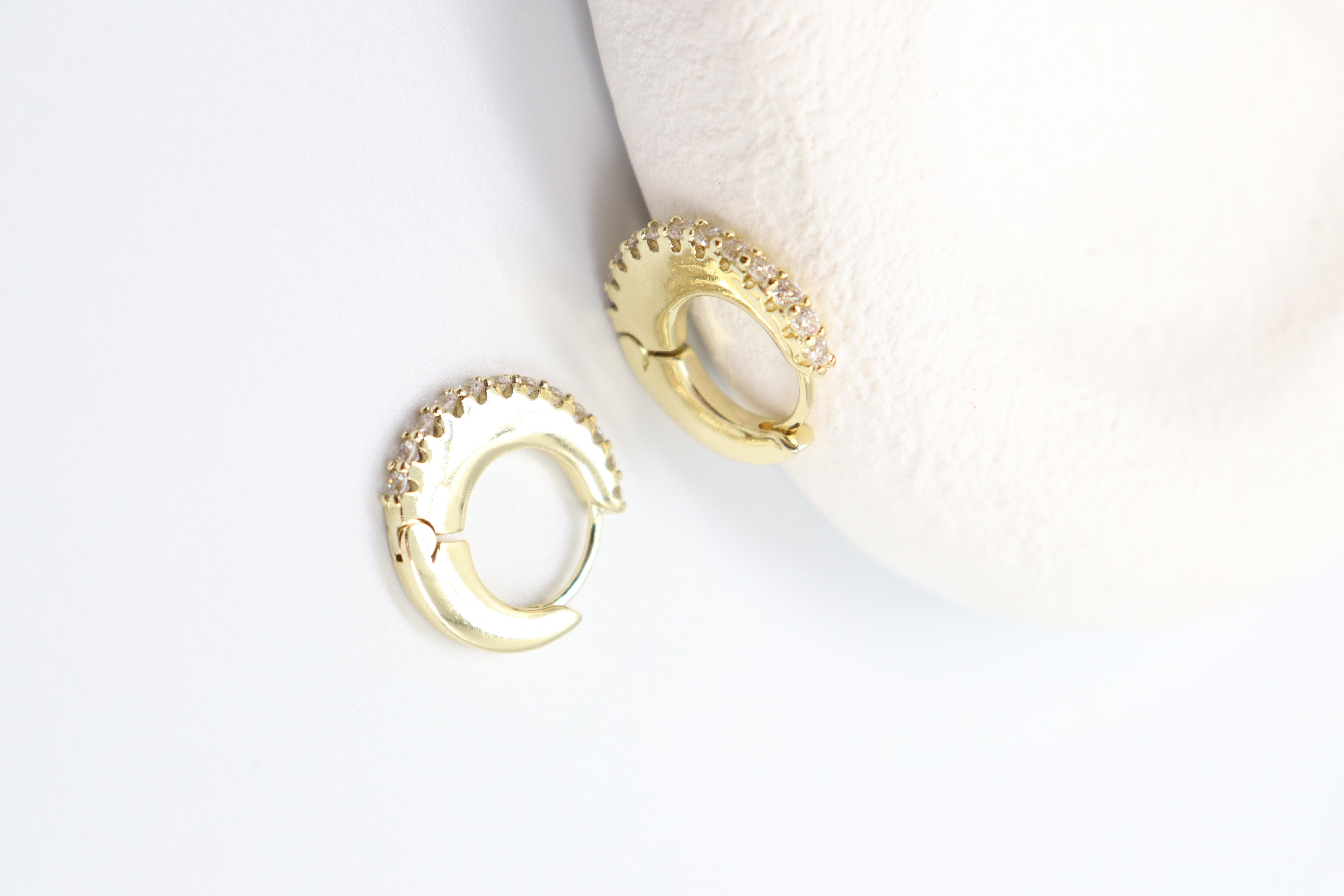 Roberta Gold Küpe (14k)