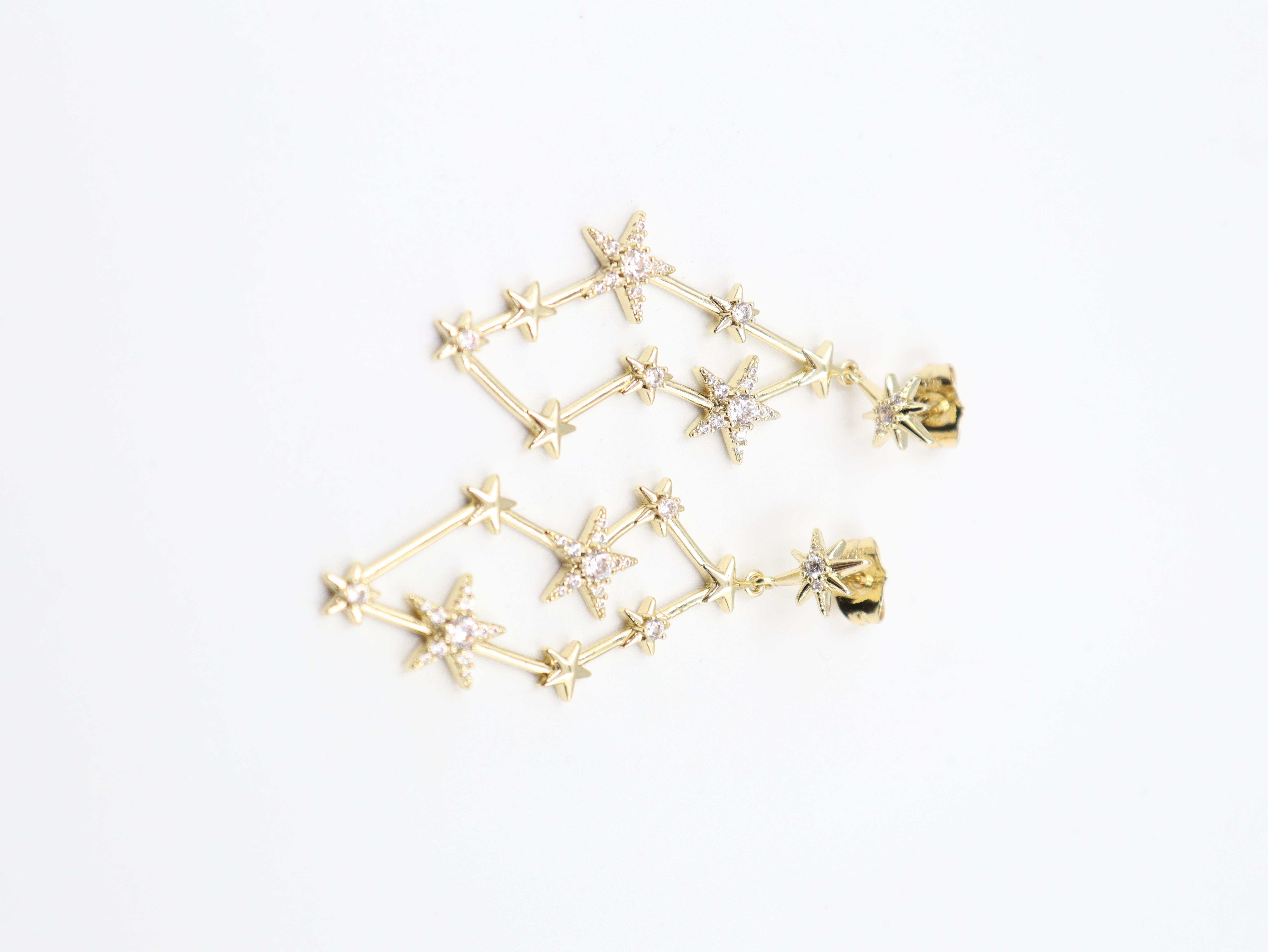 Rosavine VIP Gold Küpe (14k)
