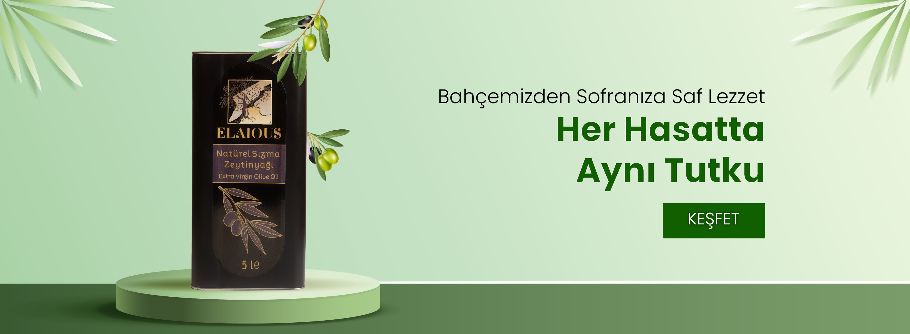 Soğuk Sıkım Sızma Zeytinyağı