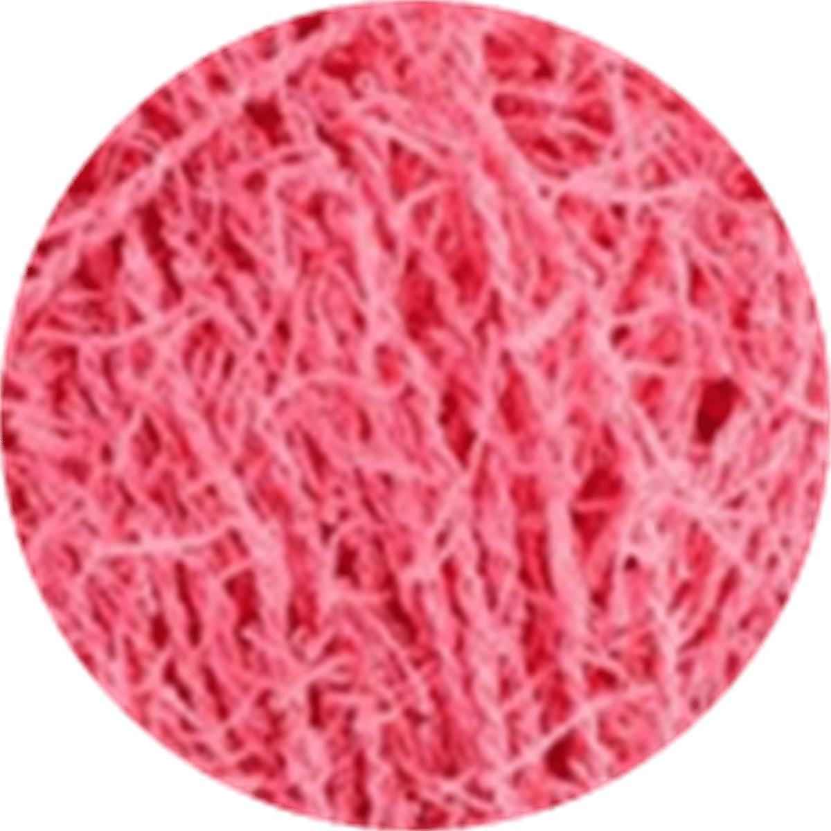 KnittingBird Scrubby Yarn 100g 21 – Tough Polyester Scrubby Yarn for Dishcloth, Bath & Kitchen Knitting