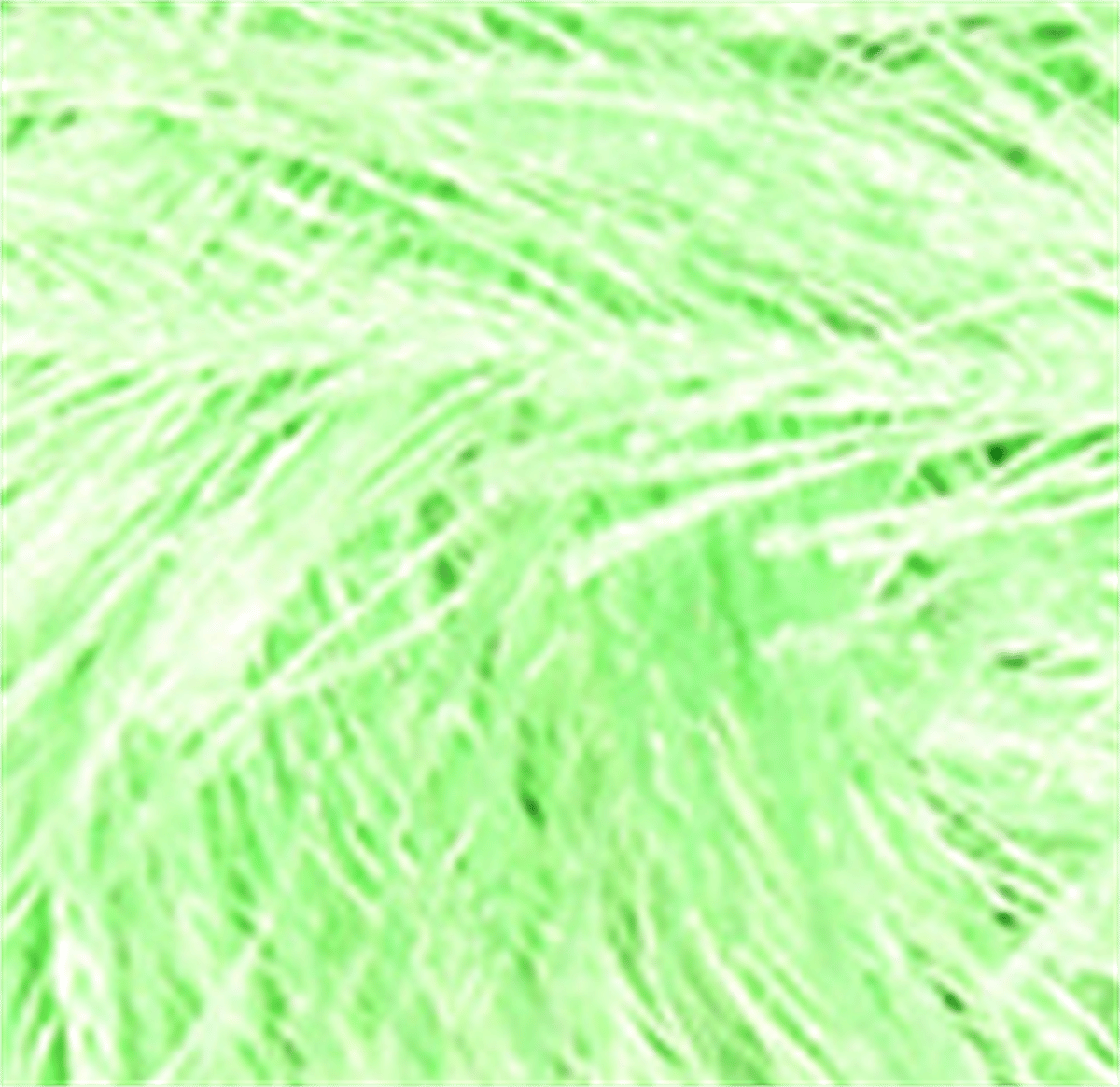 Knittingbird Eyelash Fuzzy Fluffy Yarn Mint Green