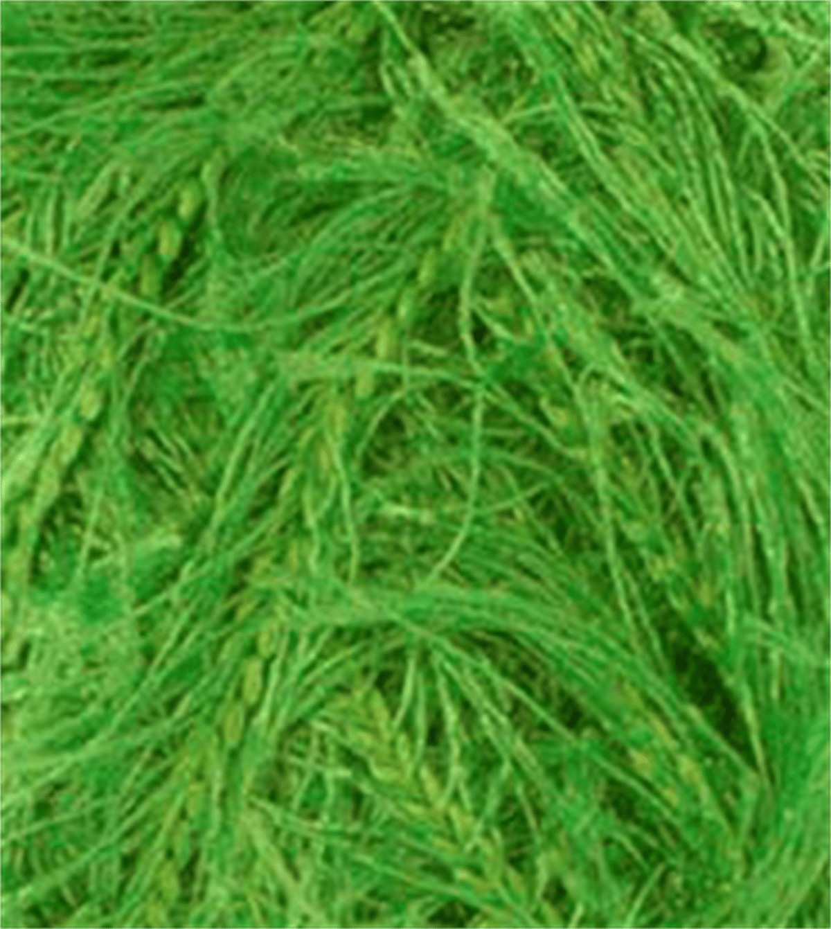 Knittingbird Eyelash Fuzzy Fluffy Yarn Light Green
