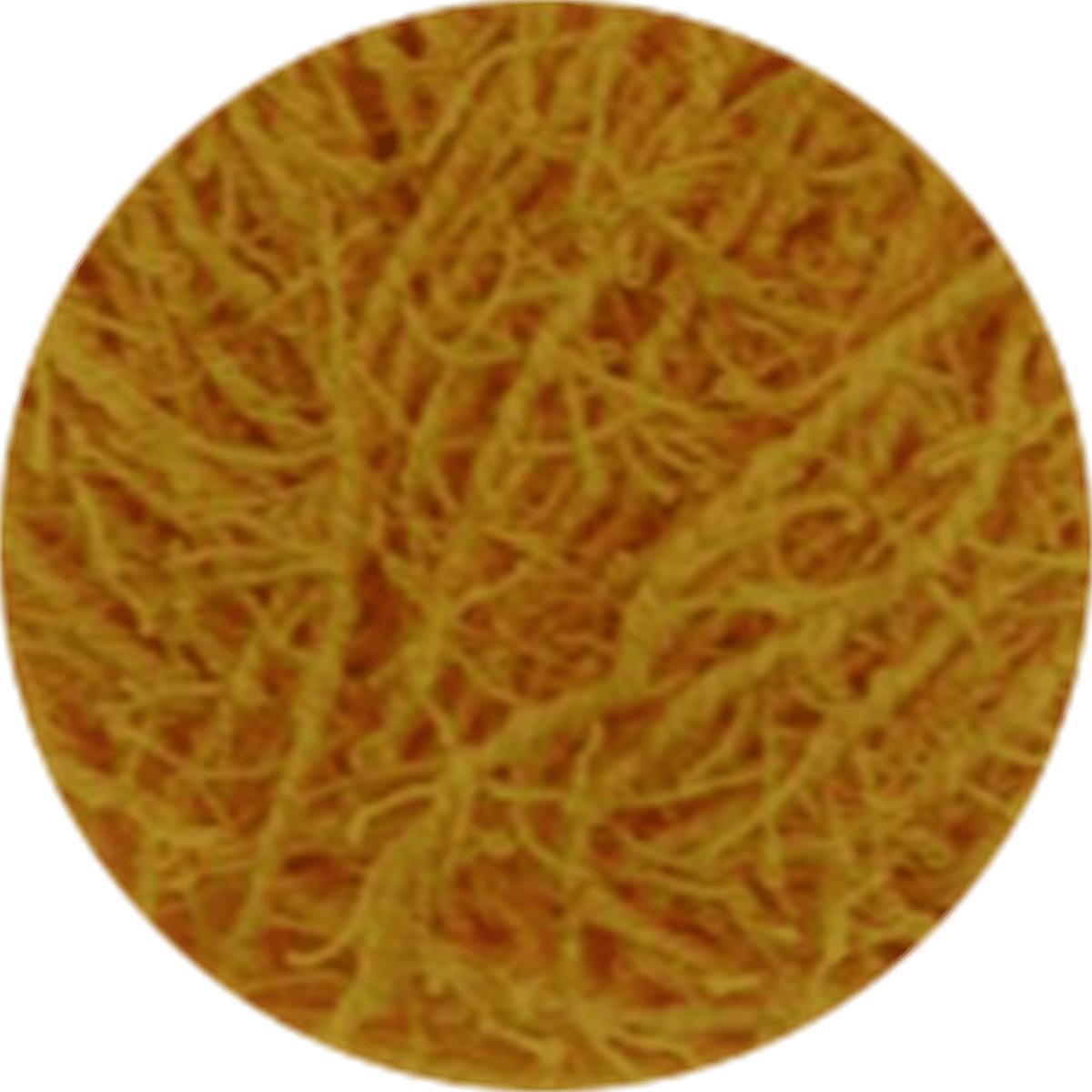 Knittingbird Scrubby Yarn 10