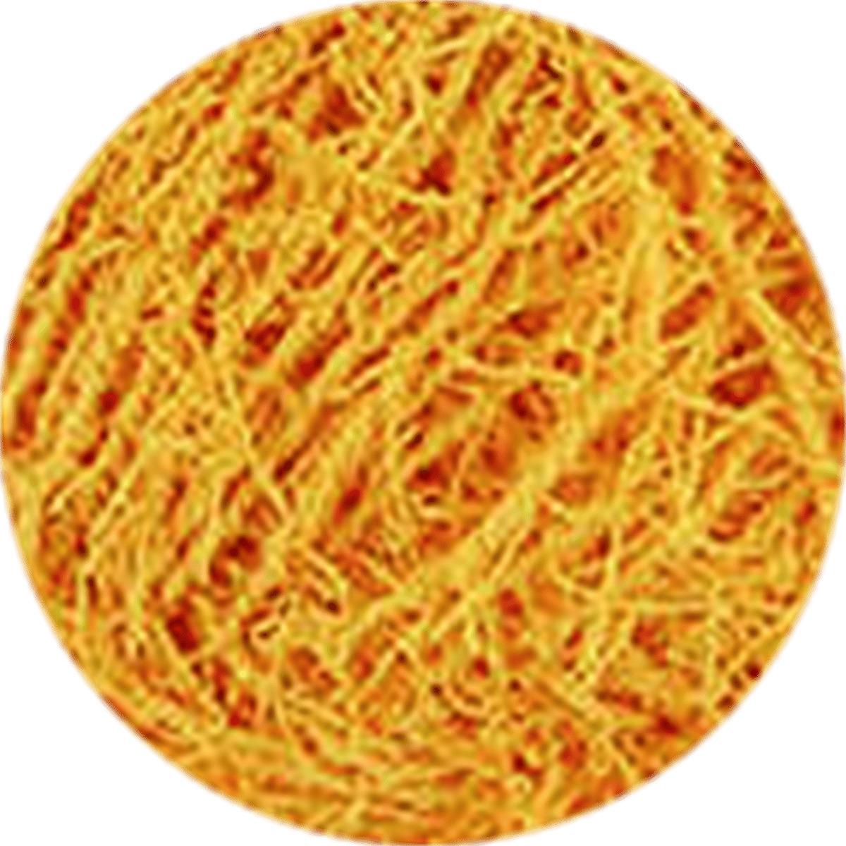 Knittingbird Scrubby Yarn 11