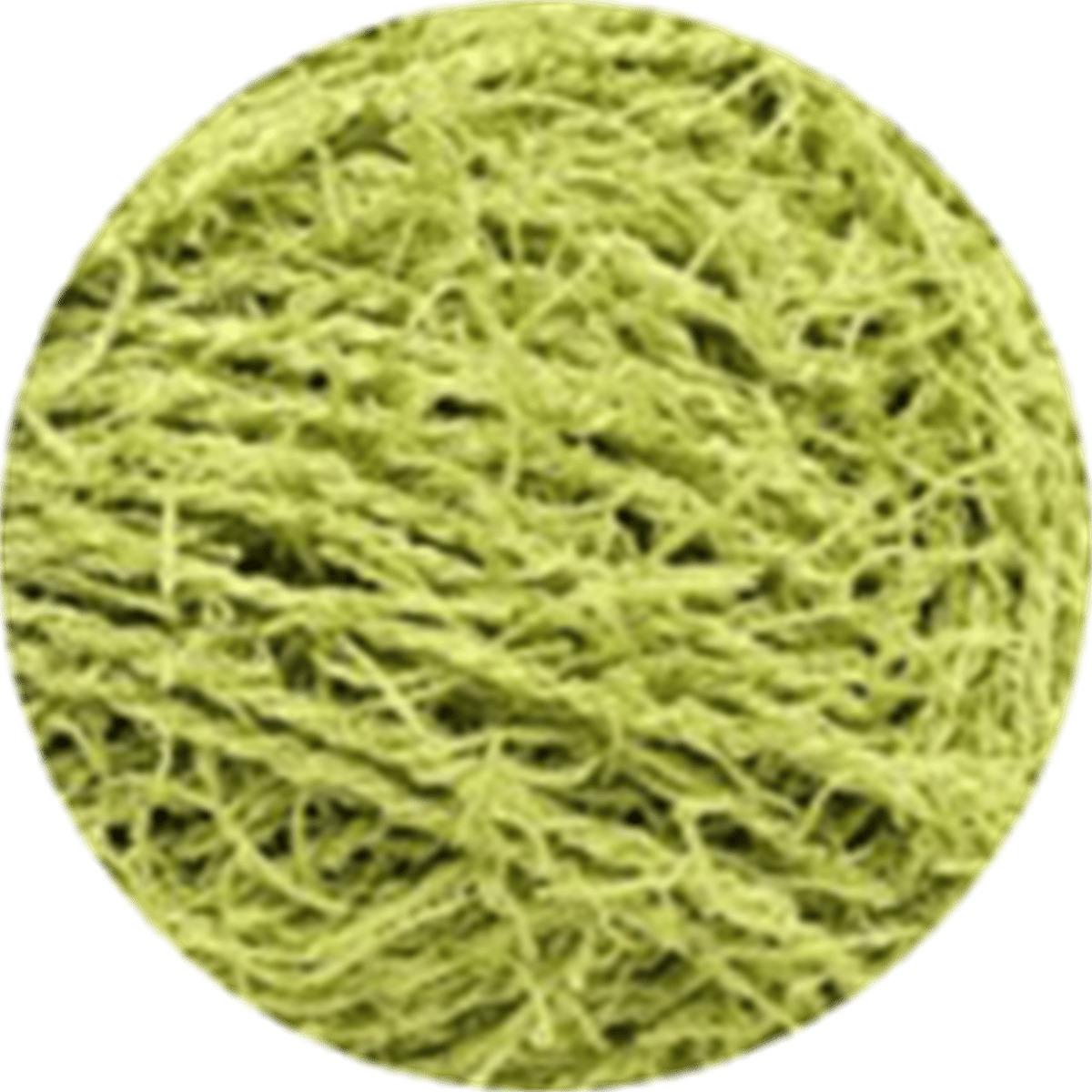 Knittingbird Scrubby Yarn 12