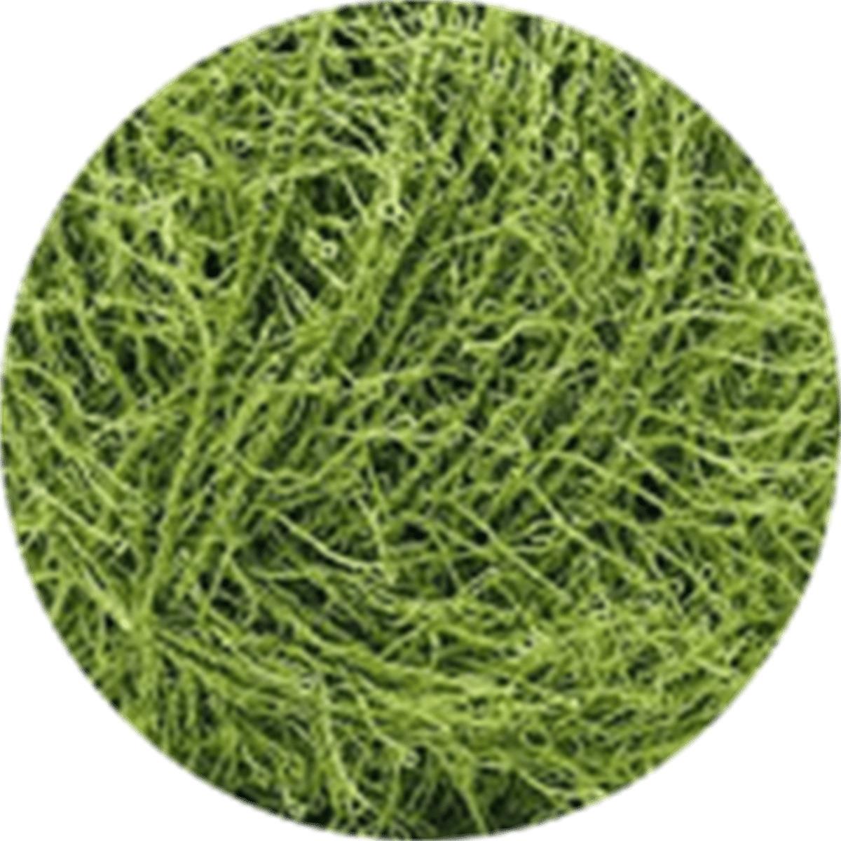 Knittingbird Scrubby Yarn 13