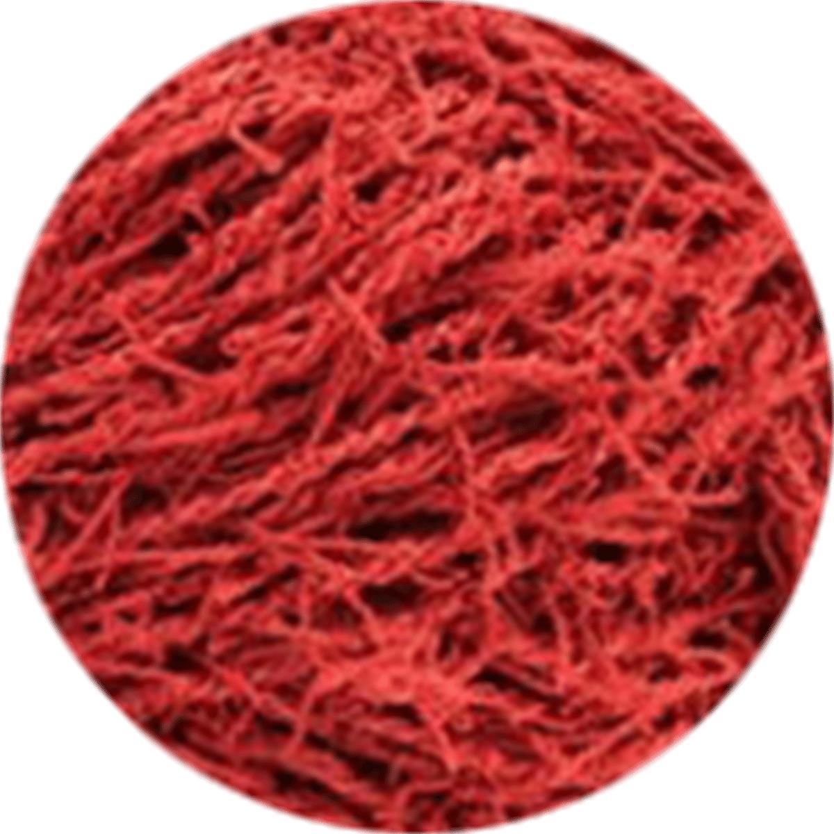 Knittingbird Scrubby Yarn 29