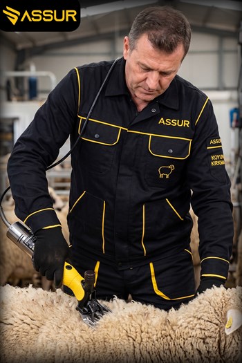 Assur 200W Elektrikli Metal Şanzımanlı Çelik Bıçaklı Profesyonel Koyun Keçi Kırkma Makinesi