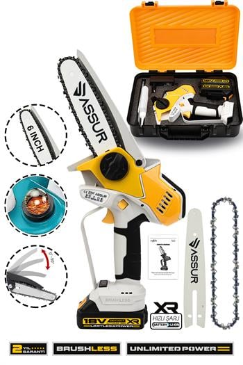 Assur Extra Power Kömürsüz Motor Şarjlı El Testeresi Ağaç Odun Dal Kesme Budama Sarı