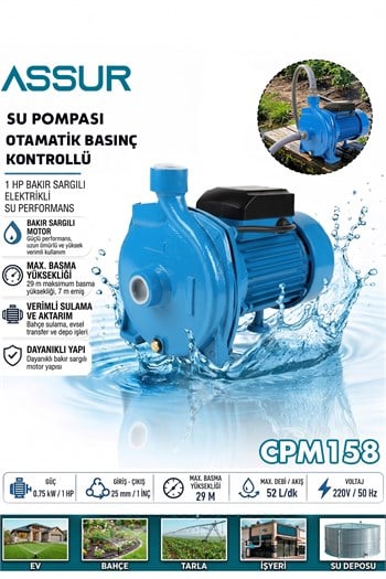 CPM158  29m Basınç Yüksekliği 1 Hp Bakır Sargı Elektrikli Santrifüj Pompa Su Motoru