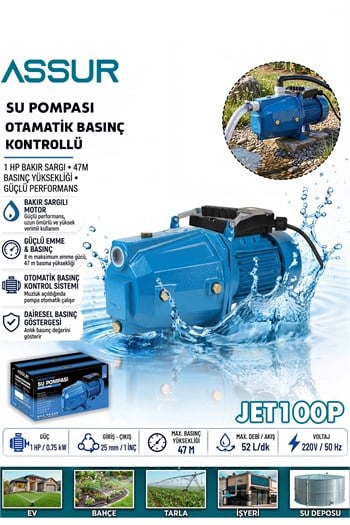 JET100P  Su Pompası 47m Basınç Yüksekliği 1 Hp Bakır Sargı Elektrikli Santrifüj Jet Pompa Su Motoru