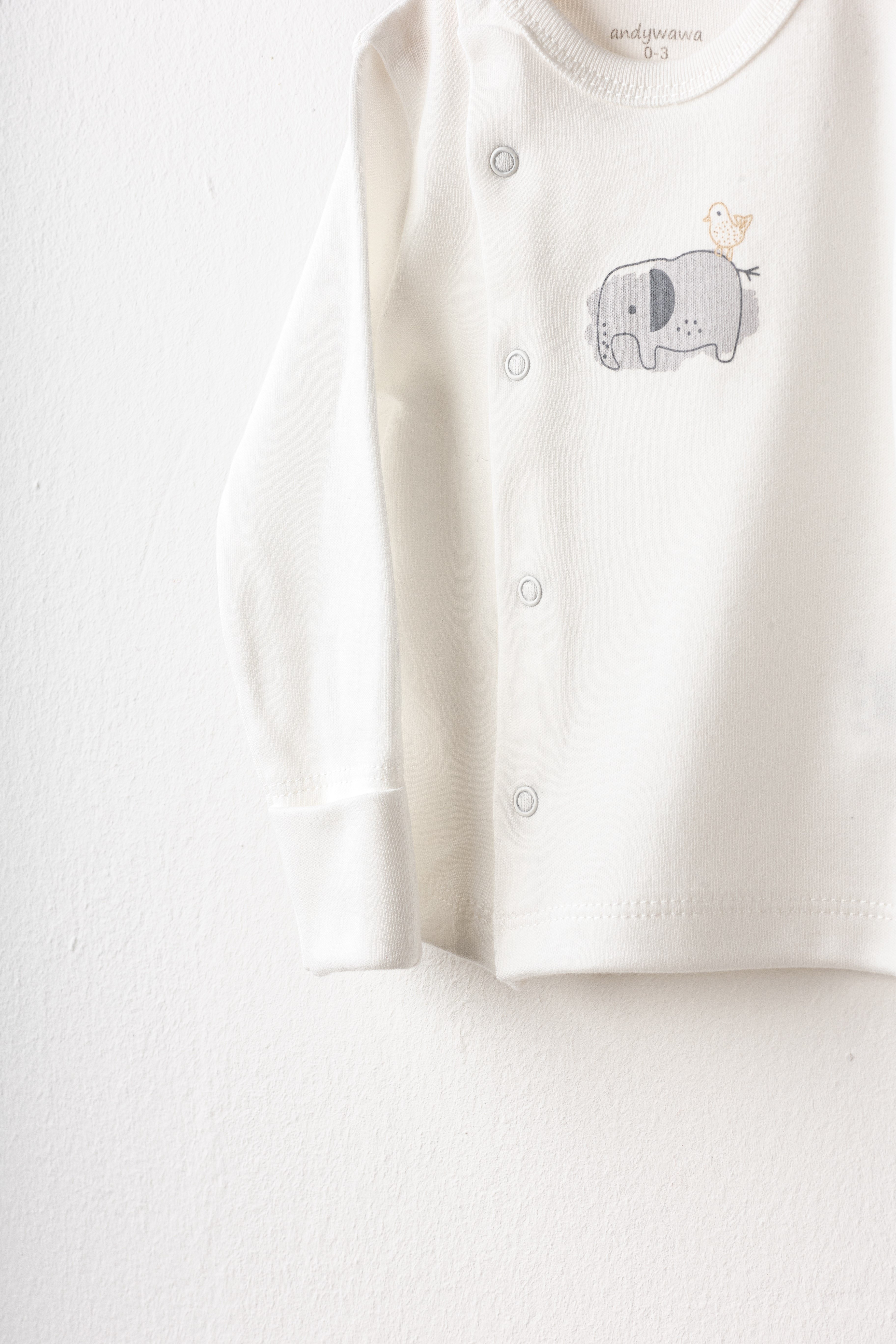 Andywawa Organik GOTS 10lu Unisex Set Mint Ekru