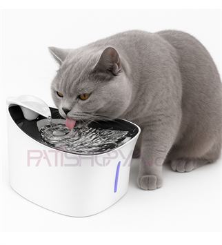 BREZZA SU PINARI 2,5 LT