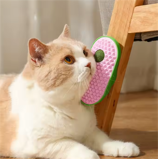 Catnip Toplu Kedi Kedi Fırça 