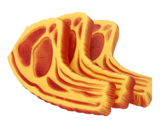 Evcil Hayvan Sesli Biftek Modelli Isırma Oyuncak