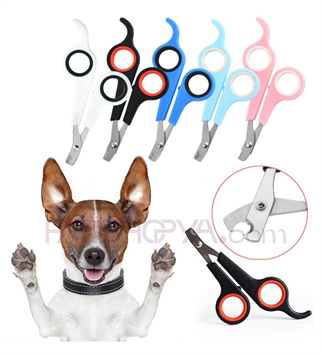 Kedi Köpek Tırnak Makası Renk (KUTULU)