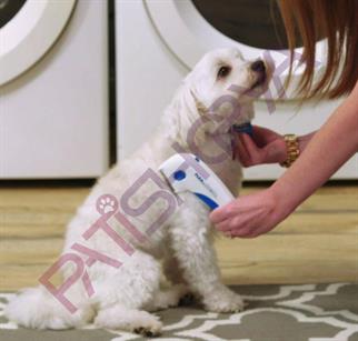 Pilli Bit Pire Tarağı