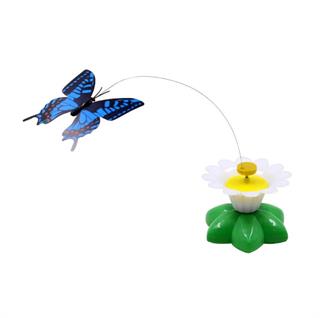 Pilli Dönen Kelebek Kedi Oyuncağı