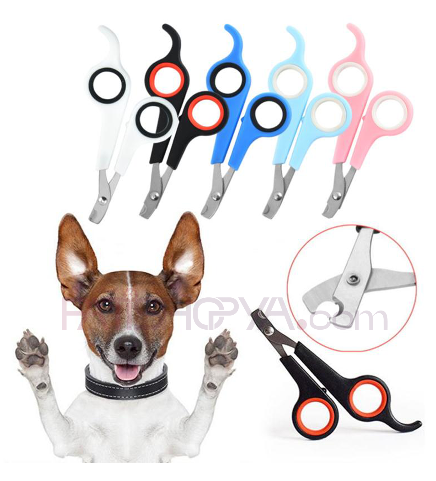 PATİSHOPYAKedi Köpek Tırnak Makası Renk (KUTULU)