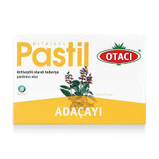 OTACI PASTIL ADACAYI
