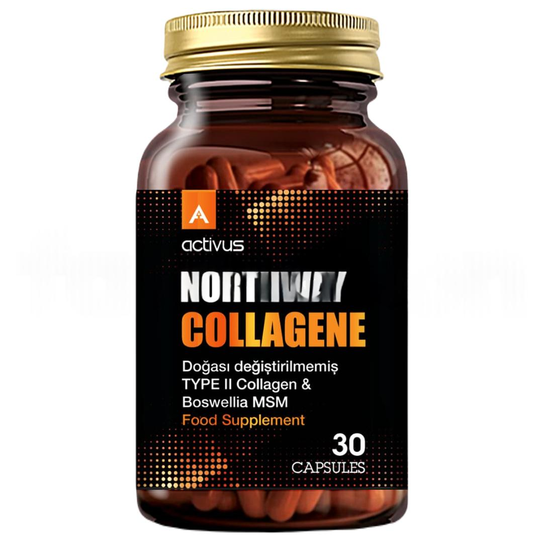 Northway Type 2 Collagen 30 Kapsül