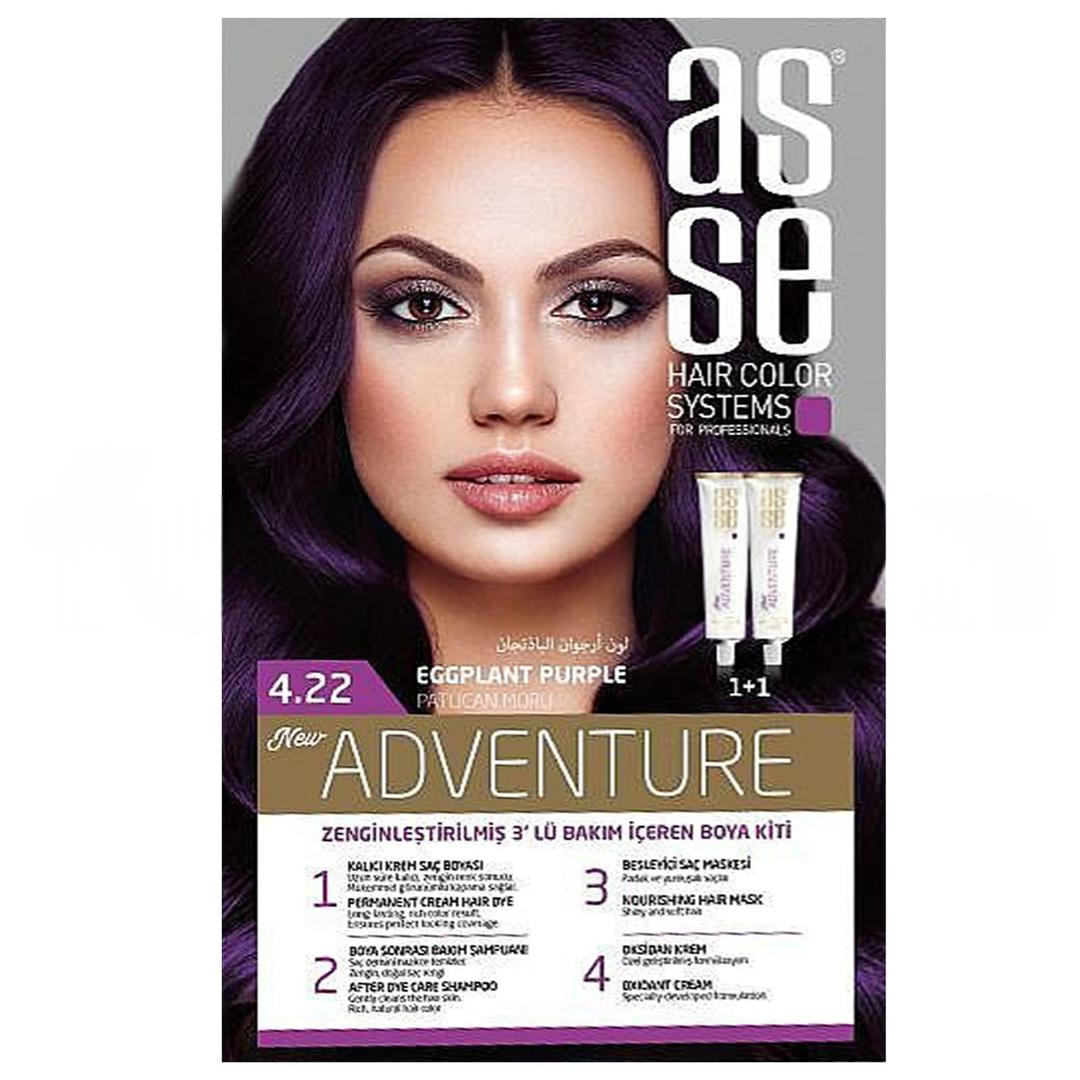 Asse Hair Color System Saç Boyası Patlıcan Moru No: 4.22