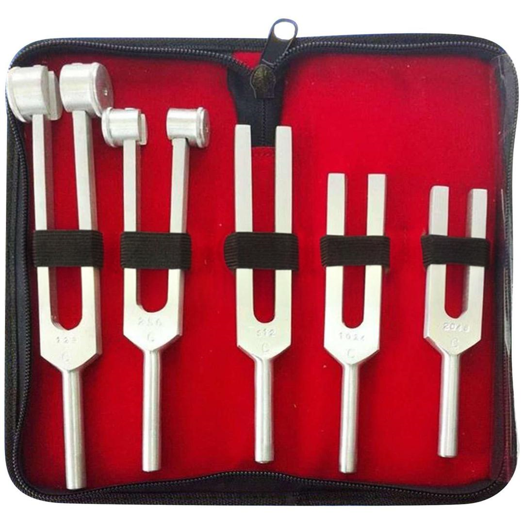 Pulsemed Diapozon 5'li Set