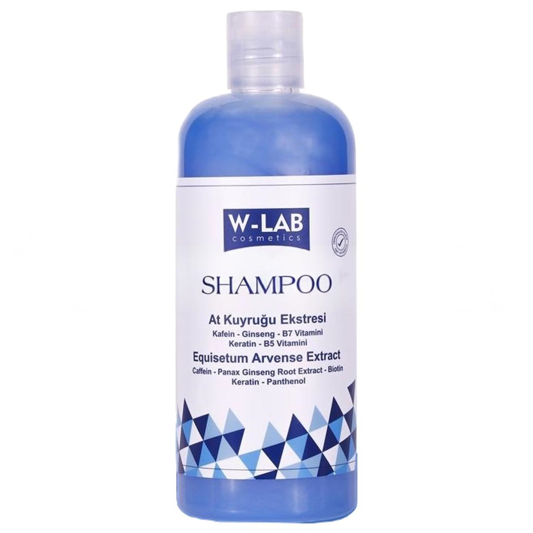 W-Lab Kozmetik Hızlı Uzamaya Yardımcı Bakım Şampuanı 400 ml