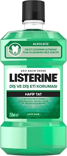 LISTERINE DIS ETI KORUMA 250 ML
