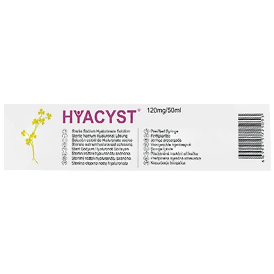 Hyacyst Hyaluronik Asit Solüsyon 120 mg 50 ml