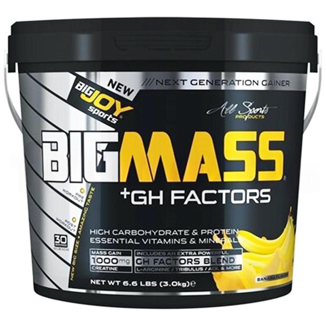 BigJoy Sports Bigmass GH+ Factors Muzlu 3000 gr