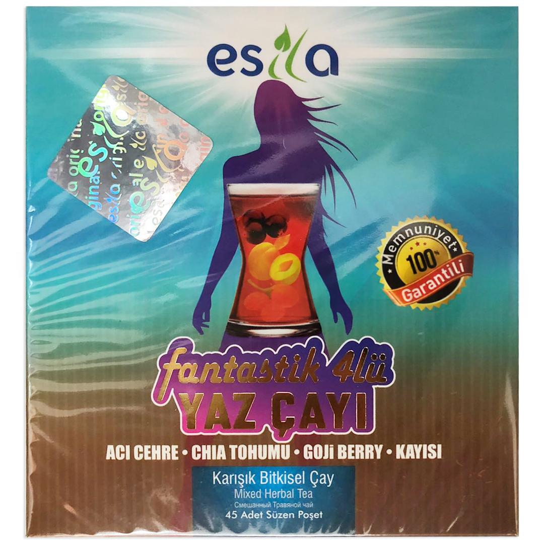Esila Fantastik 4'lü Yaz Çayı 45 Süzen Poşet