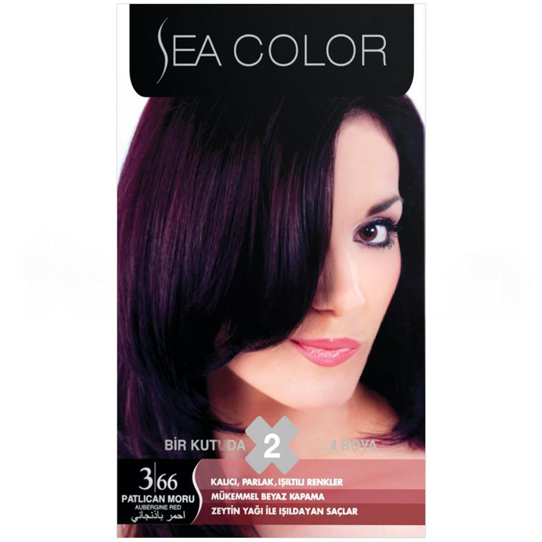 Sea Color Set Boya 3.66 Patlıcan Moru