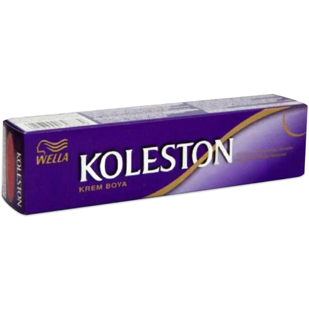 Koleston Tüp Boya Patlıcan Moru 3-66